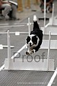 img_4057_thm.jpg