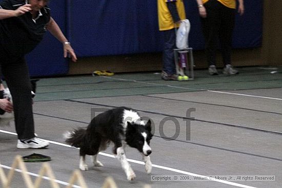 Birmingham Bandits March Madness<br />3/14/2009<br />Shocco Springs, Al