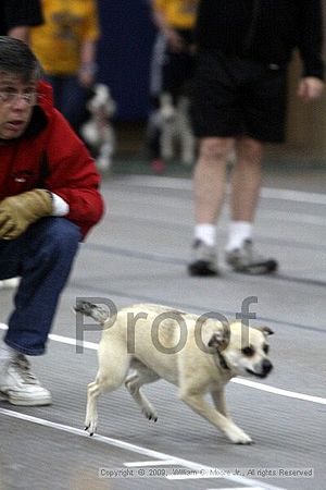 Birmingham Bandits March Madness<br />3/14/2009<br />Shocco Springs, Al