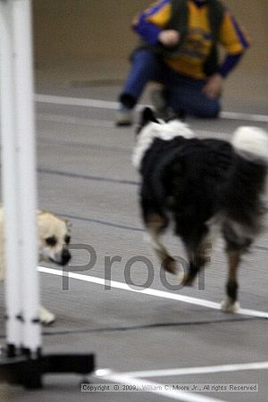 Birmingham Bandits March Madness<br />3/14/2009<br />Shocco Springs, Al