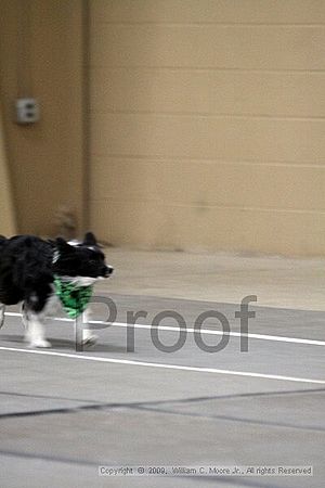 Birmingham Bandits March Madness<br />3/14/2009<br />Shocco Springs, Al