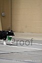 img_4098_thm.jpg