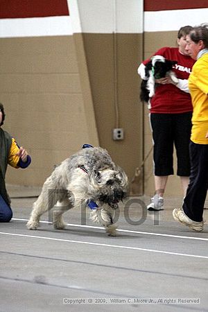 Birmingham Bandits March Madness<br />3/14/2009<br />Shocco Springs, Al