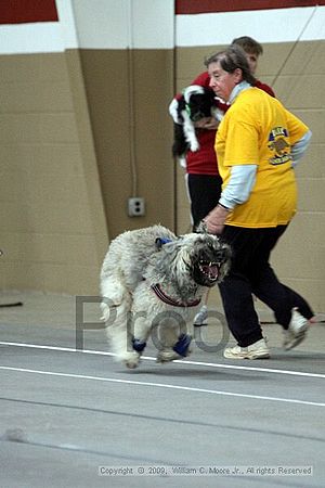 Birmingham Bandits March Madness<br />3/14/2009<br />Shocco Springs, Al