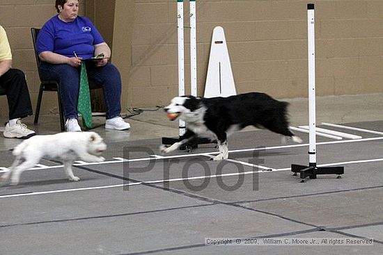 Birmingham Bandits March Madness<br />3/14/2009<br />Shocco Springs, Al