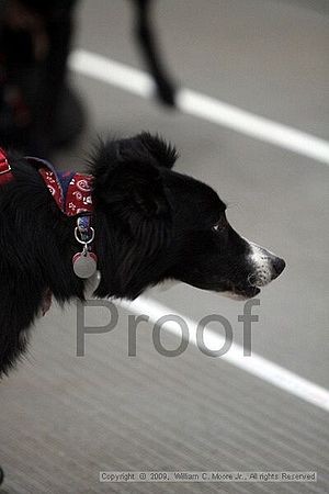 Birmingham Bandits March Madness<br />3/14/2009<br />Shocco Springs, Al