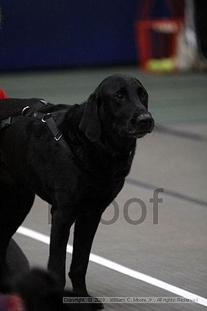 Birmingham Bandits March Madness<br />3/14/2009<br />Shocco Springs, Al