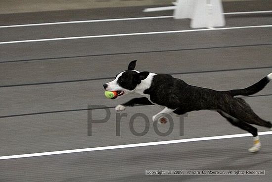 Birmingham Bandits March Madness<br />3/14/2009<br />Shocco Springs, Al