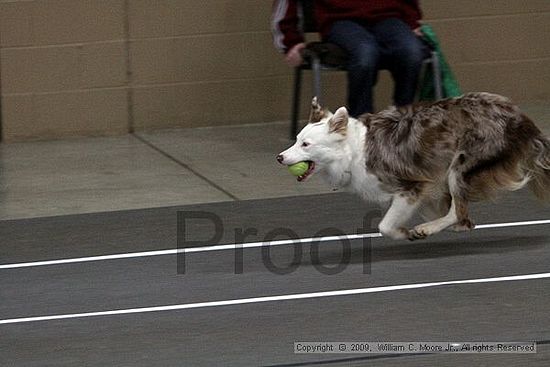 Birmingham Bandits March Madness<br />3/14/2009<br />Shocco Springs, Al