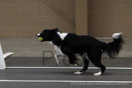 Birmingham Bandits March Madness<br />3/14/2009<br />Shocco Springs, Al