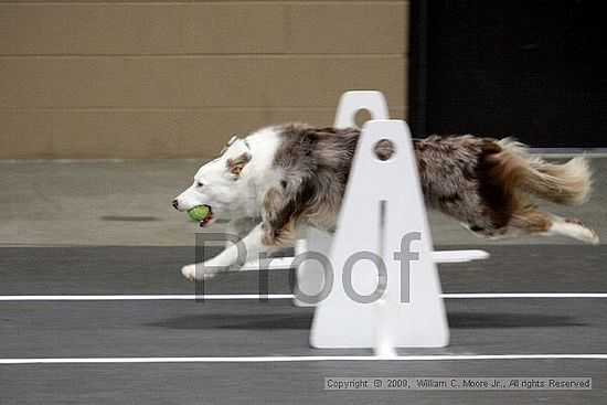 Birmingham Bandits March Madness<br />3/14/2009<br />Shocco Springs, Al