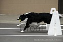 img_4267_thm.jpg