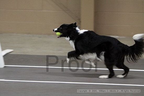 Birmingham Bandits March Madness<br />3/14/2009<br />Shocco Springs, Al