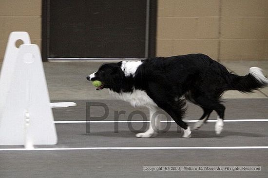 Birmingham Bandits March Madness<br />3/14/2009<br />Shocco Springs, Al