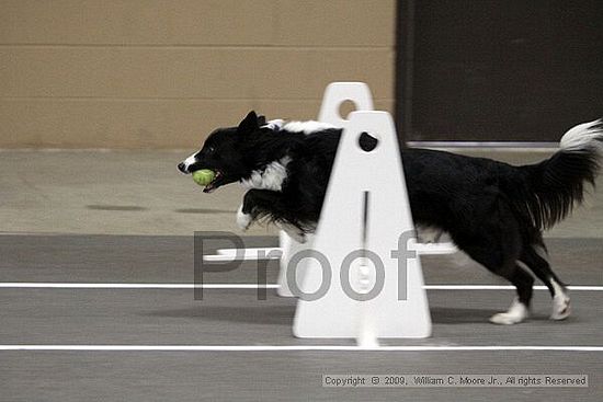 Birmingham Bandits March Madness<br />3/14/2009<br />Shocco Springs, Al