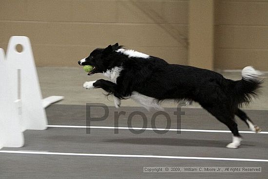 Birmingham Bandits March Madness<br />3/14/2009<br />Shocco Springs, Al