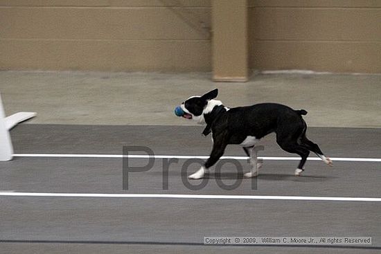 Birmingham Bandits March Madness<br />3/14/2009<br />Shocco Springs, Al