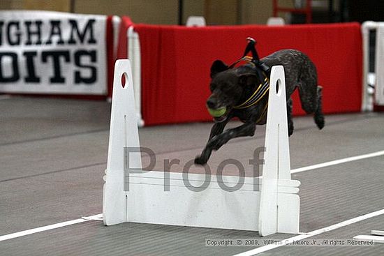 Birmingham Bandits March Madness<br />3/15/2009<br />Shocco Springs, Al