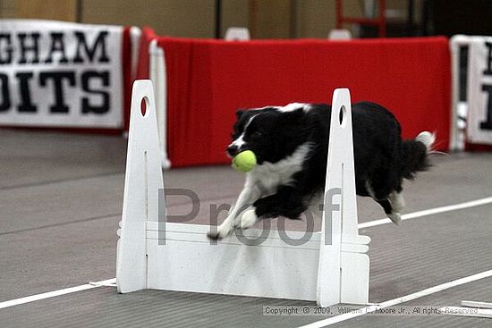 Birmingham Bandits March Madness<br />3/15/2009<br />Shocco Springs, Al