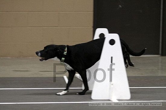 Birmingham Bandits March Madness<br />3/15/2009<br />Shocco Springs, Al