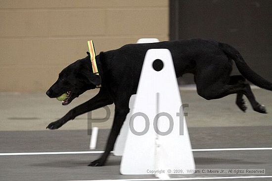 Birmingham Bandits March Madness<br />3/15/2009<br />Shocco Springs, Al