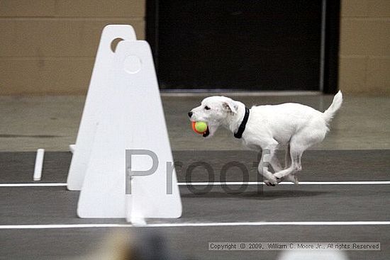 Birmingham Bandits March Madness<br />3/15/2009<br />Shocco Springs, Al