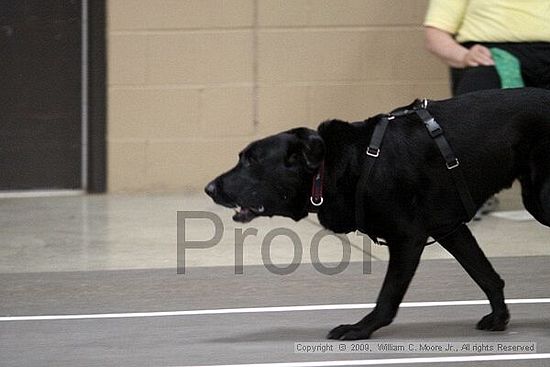 Birmingham Bandits March Madness<br />3/15/2009<br />Shocco Springs, Al