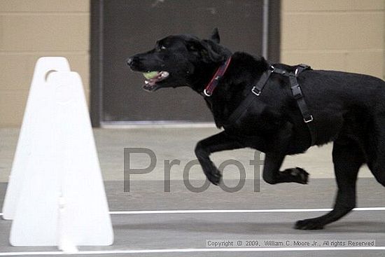 Birmingham Bandits March Madness<br />3/15/2009<br />Shocco Springs, Al