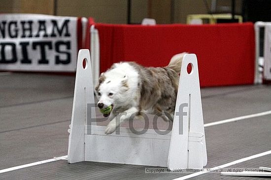 Birmingham Bandits March Madness<br />3/15/2009<br />Shocco Springs, Al