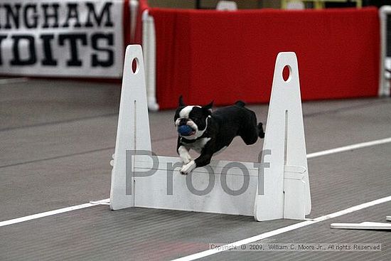 Birmingham Bandits March Madness<br />3/15/2009<br />Shocco Springs, Al