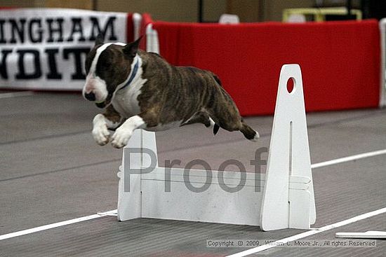 Birmingham Bandits March Madness<br />3/15/2009<br />Shocco Springs, Al