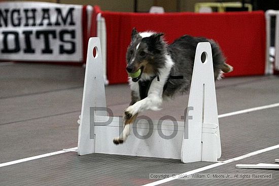 Birmingham Bandits March Madness<br />3/15/2009<br />Shocco Springs, Al