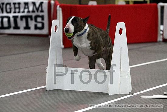 Birmingham Bandits March Madness<br />3/15/2009<br />Shocco Springs, Al