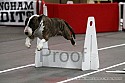 img_4341_thm.jpg