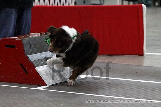 Birmingham Bandits March Madness<br />3/15/2009<br />Shocco Springs, Al