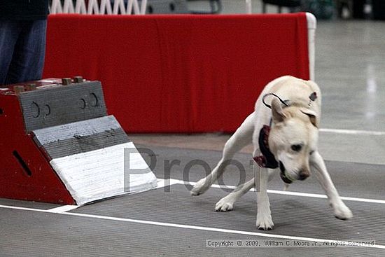 Birmingham Bandits March Madness<br />3/15/2009<br />Shocco Springs, Al