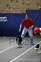 img_4377_thm.jpg