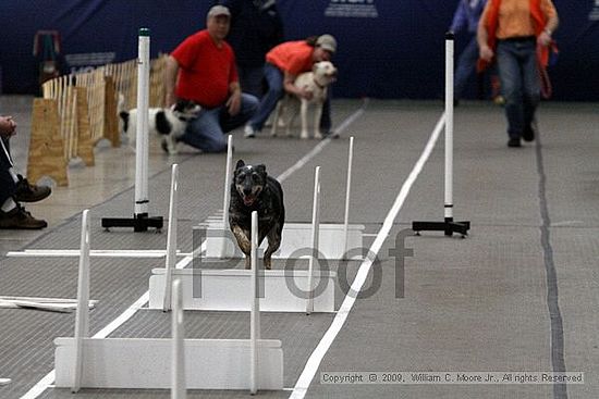 Birmingham Bandits March Madness<br />3/15/2009<br />Shocco Springs, Al