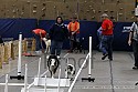 img_4393_thm.jpg