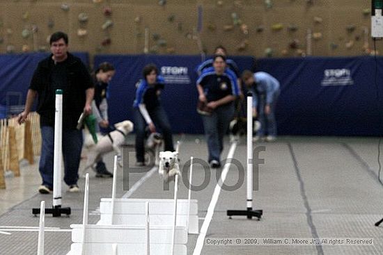 Birmingham Bandits March Madness<br />3/15/2009<br />Shocco Springs, Al