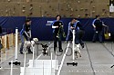 img_4439_thm.jpg