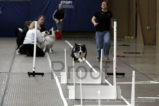 Birmingham Bandits March Madness<br />3/15/2009<br />Shocco Springs, Al