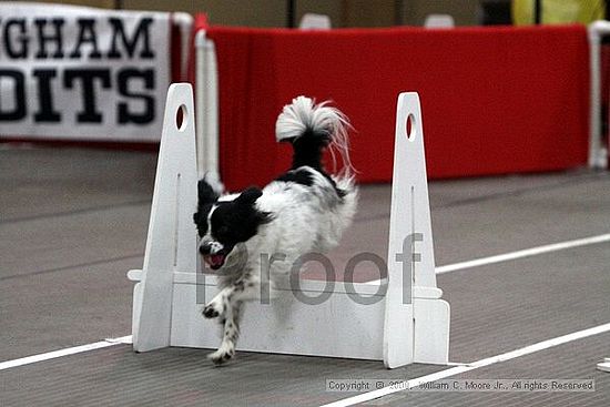 Birmingham Bandits March Madness<br />3/15/2009<br />Shocco Springs, Al