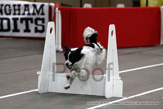 Birmingham Bandits March Madness<br />3/15/2009<br />Shocco Springs, Al