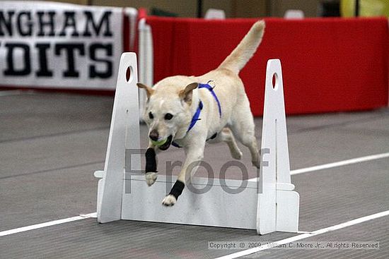 Birmingham Bandits March Madness<br />3/15/2009<br />Shocco Springs, Al