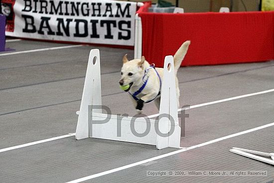 Birmingham Bandits March Madness<br />3/15/2009<br />Shocco Springs, Al