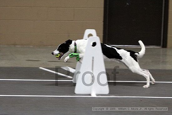 Birmingham Bandits March Madness<br />3/15/2009<br />Shocco Springs, Al