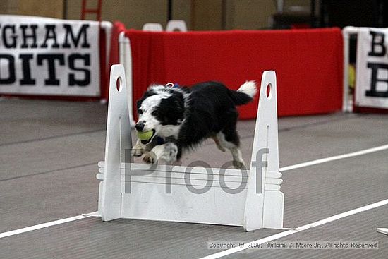 Birmingham Bandits March Madness<br />3/15/2009<br />Shocco Springs, Al