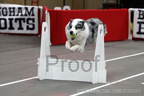 Birmingham Bandits March Madness<br />3/15/2009<br />Shocco Springs, Al