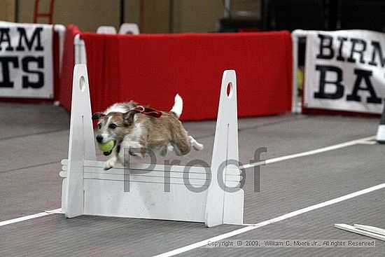 Birmingham Bandits March Madness<br />3/15/2009<br />Shocco Springs, Al